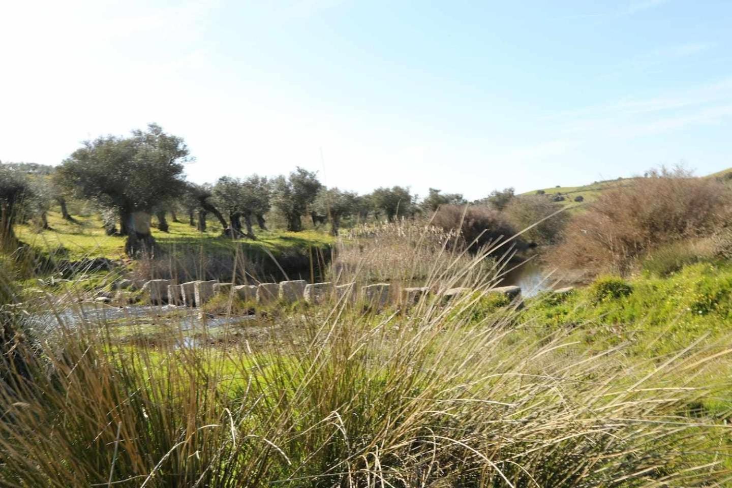 El Olivar Agloipe Extremadura Ahigal Exterior foto