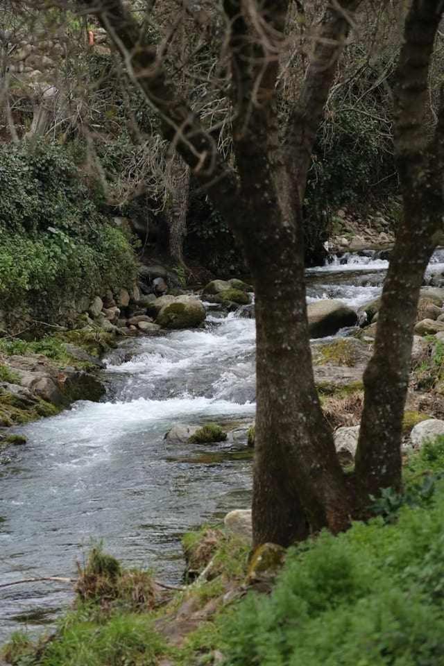 El Olivar Agloipe Extremadura Ahigal Exterior foto